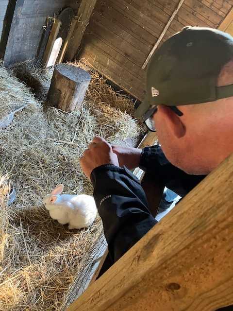 Beboer ser på en kanin